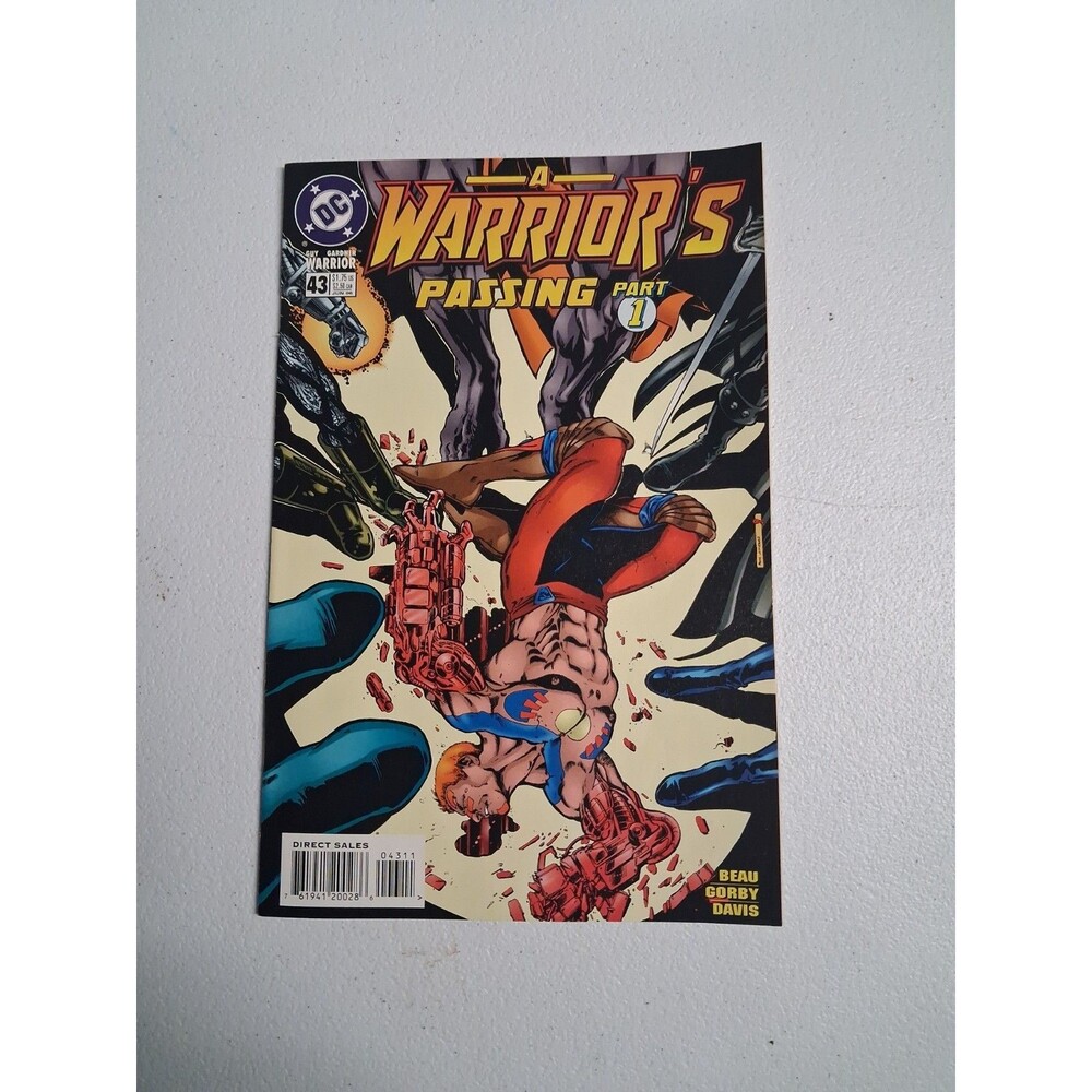 DC Comics A Warrior's Passing Part 1 #43